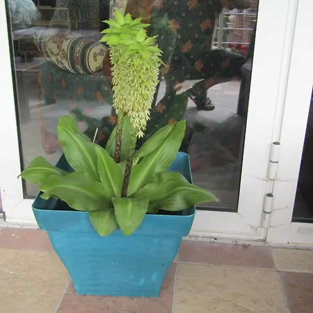 D'hôtes Au Nid Du Thil Couette-café Beauvais