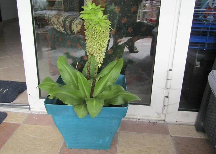 D'hotes Au Nid Du Thil לינה וארוחת בוקר בווה